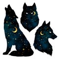 Set of wolf silhouettes with crescent moon and stars