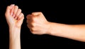 Set of woman clenched fist. Concept of unity, fight or cooperation Royalty Free Stock Photo