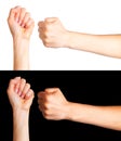 Set of woman clenched fist. Concept of unity, fight or cooperation Royalty Free Stock Photo