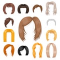 Set of woman hair styling vector illustration young brown silhouette health color haircut