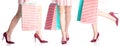 Set woman legs in red high heel shoes and dress bag package in hand fashion Royalty Free Stock Photo