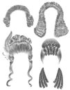 Set woman and man hairs . black pencil drawing sketch . medieval style rococo baroque wig curls hairstyle