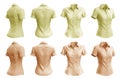 2 Set of woman pastel yellow orange button up short sleeve collar slim fitting shirt front, back side view on transparent, PNG