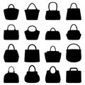 Set of women bags, illustration