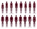 Set of Women Men body shapes silhouette types. Male Female Vector illustration in cartoon style 9 head size Gentlemen