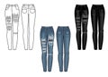 Set of women`s jeans. Vector illustration