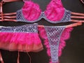 A set of women& x27;s underwear from panties bra and stockings belt in pink and blue Royalty Free Stock Photo