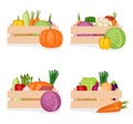 Set of wooden boxes with fresh farm vegetables, vector illustration Royalty Free Stock Photo