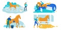 Set Work on Horse Farm, Care and Training Cartoon. Royalty Free Stock Photo