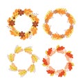 Set of wreaths of colorful autumn leaves and flowers. Fall round frames. Thanksgiving day decorations. Vector elements