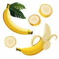 Set of yellow banana and slices. Isolated vector sliced fruit in flat style. Clipart for design Royalty Free Stock Photo