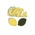 Set yellow and green lemons on a white background. Vector summer fresh tropical citrus fruits eps illustration Royalty Free Stock Photo