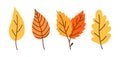 Set of yellow and orange autumn leaves Royalty Free Stock Photo