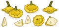 Set of Yellow Patty Pan squash. Cartoon style