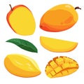 Set of yellow red mango and slices. Isolated vector fruit in flat style. Summer clipart for design Royalty Free Stock Photo