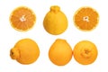 Set of Sumo mandarin citrus fruit, a hybrid between Kiyomi and ponkan, isolated on white background