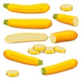 Set of Yellow zucchini or golden zucchini Royalty Free Stock Photo