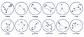 Set of Zodiac signs, stars, constellations blue color on a white background Royalty Free Stock Photo