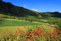 Sete Cidades landscape Royalty Free Stock Photo