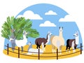 Seth, animals lama. Farming. In minimalist style Cartoon flat raster Royalty Free Stock Photo