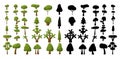 Seth black silhouettes and realistic trees from different climatic zones on a white background - Vector
