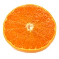 Setoka orange , japanese high quality citrus fruit