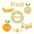 ÃÂ¡itrus logos with orange, lemon, grapefruit, lime and kiwi. Royalty Free Stock Photo