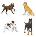Sets of illustration dogs (vector)