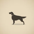 Setter dog - silhouette of the Irish or England setter - vector illustration Royalty Free Stock Photo