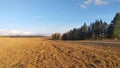 The setting autumn sun illuminates a post-harvest plowed field and the mixed forest behind it. Deciduous trees with yellow foliage Royalty Free Stock Photo