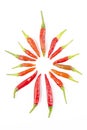 A setting in circle surrounding of fresh hot and spicy red bird-chilli on hite background Royalty Free Stock Photo