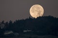 Setting full moon behind hill, forest and houses seen on hill