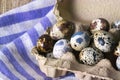 A large carton of several quail eggs, on a cloth background.