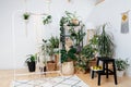 Setting for macrame weaving inside a bright home greenhouse