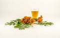 setting of rowan, alcohol from rowan in a glass shot, orange-red branch of rowan with green leaves on a white background, yellow