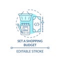 Setting shopping budget concept icon