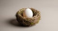 Setting is simple emphasizing the nest s delicate craftsmanship and the Royalty Free Stock Photo