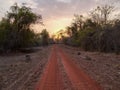 The setting sun behind a road at tadoba andhari tiger reserve