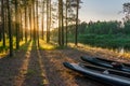 Setting sun makes its way through trees on riverbank there are kayaks