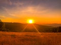 The setting sun over the landscape overlooking the trees goin down behind horizon Royalty Free Stock Photo