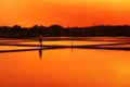 Can Gio Rice Paddy Sunset South Vietnam