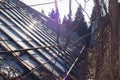 The setting sun shines over the glass roof of the greenhouse Royalty Free Stock Photo