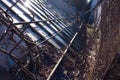 The setting sun shines over the glass roof of the greenhouse Royalty Free Stock Photo