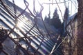 The setting sun shines over the glass roof of the greenhouse Royalty Free Stock Photo