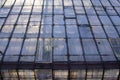 The setting sun shines over the glass roof of the greenhouse Royalty Free Stock Photo