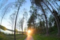 The setting sun through the trees illuminates the pedestrian path along the forest path next to the lake