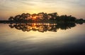 Setting sun through trees and reflected in lake Royalty Free Stock Photo
