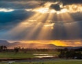 a setting sun wuth crepuscular rays setting over wet landscape - generated by ai
