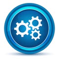 Settings gears icon eyeball blue round button Royalty Free Stock Photo