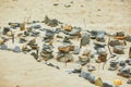 Settlement built from stones and peblles on sand beach on Atlantic coast in Brittany, France Royalty Free Stock Photo